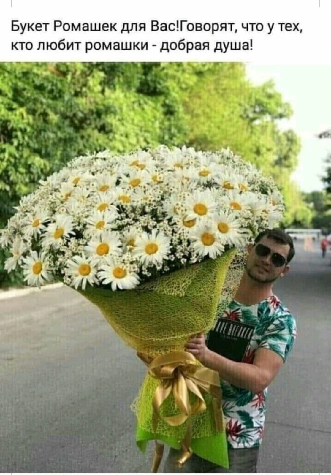 Самый большой букет ромашек