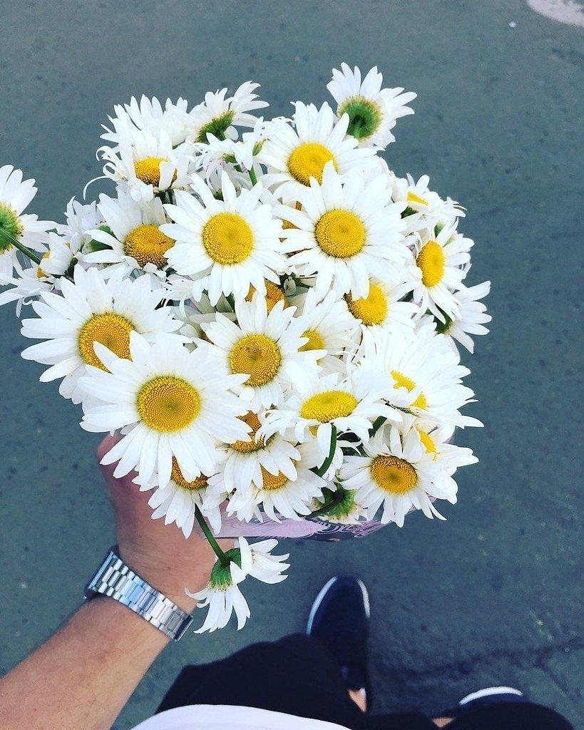 Букет ромашек