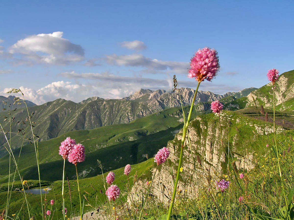 Альпийские Луга Абхазия высота