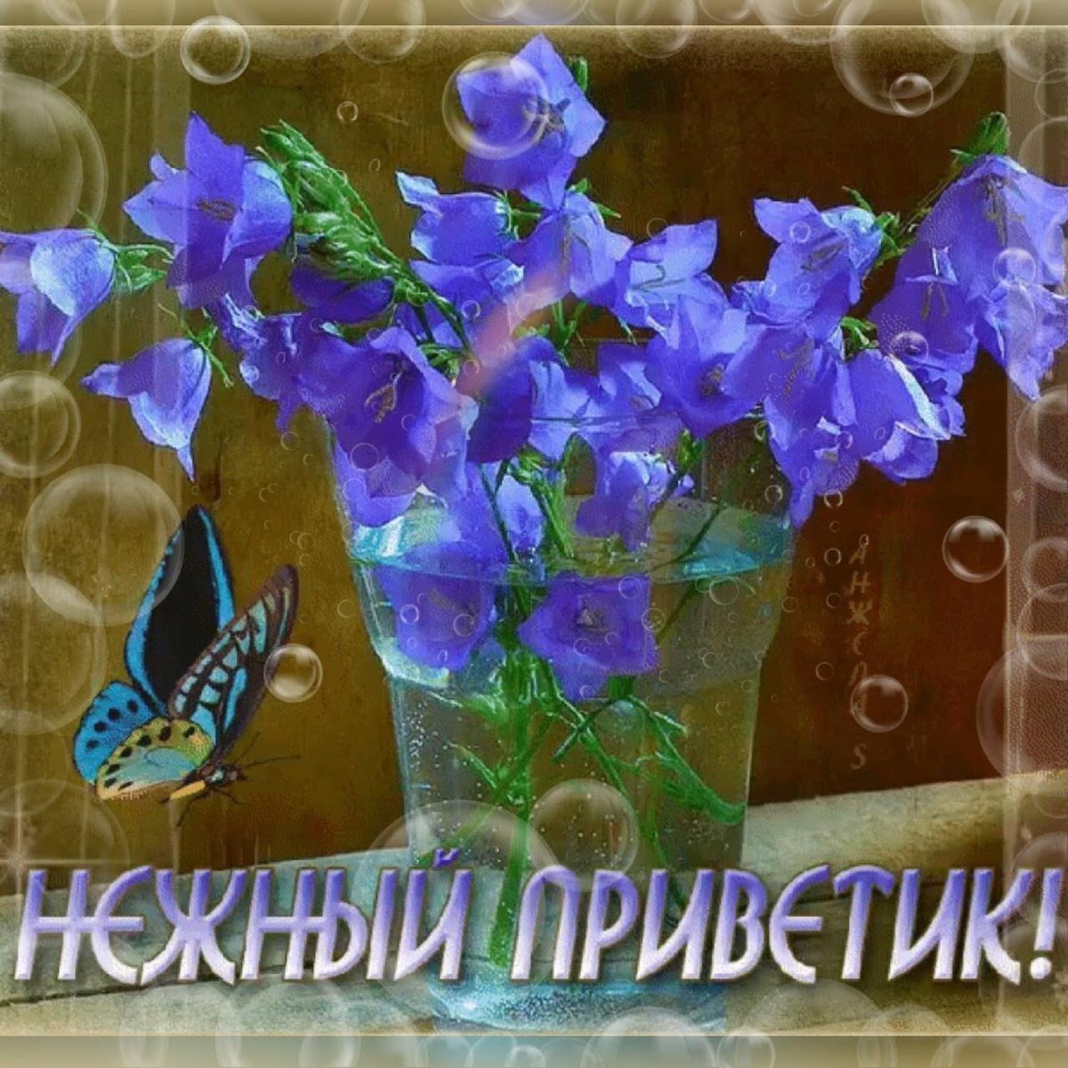 Открытки приветик