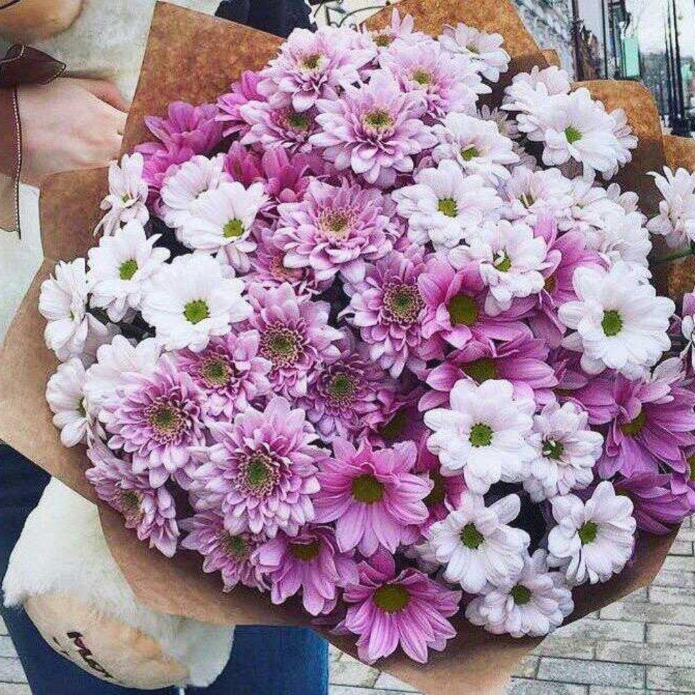 Букет из 25 кустовых хризантем