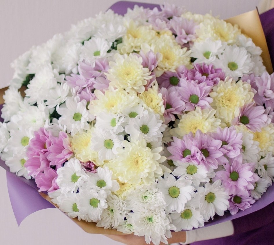 25 Кустовых хризантем микс