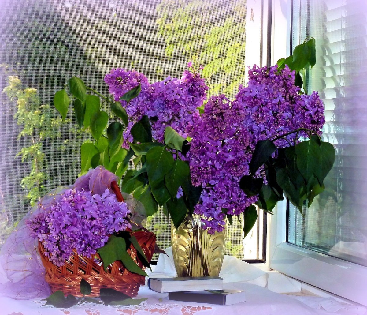 Ах сирень сирень