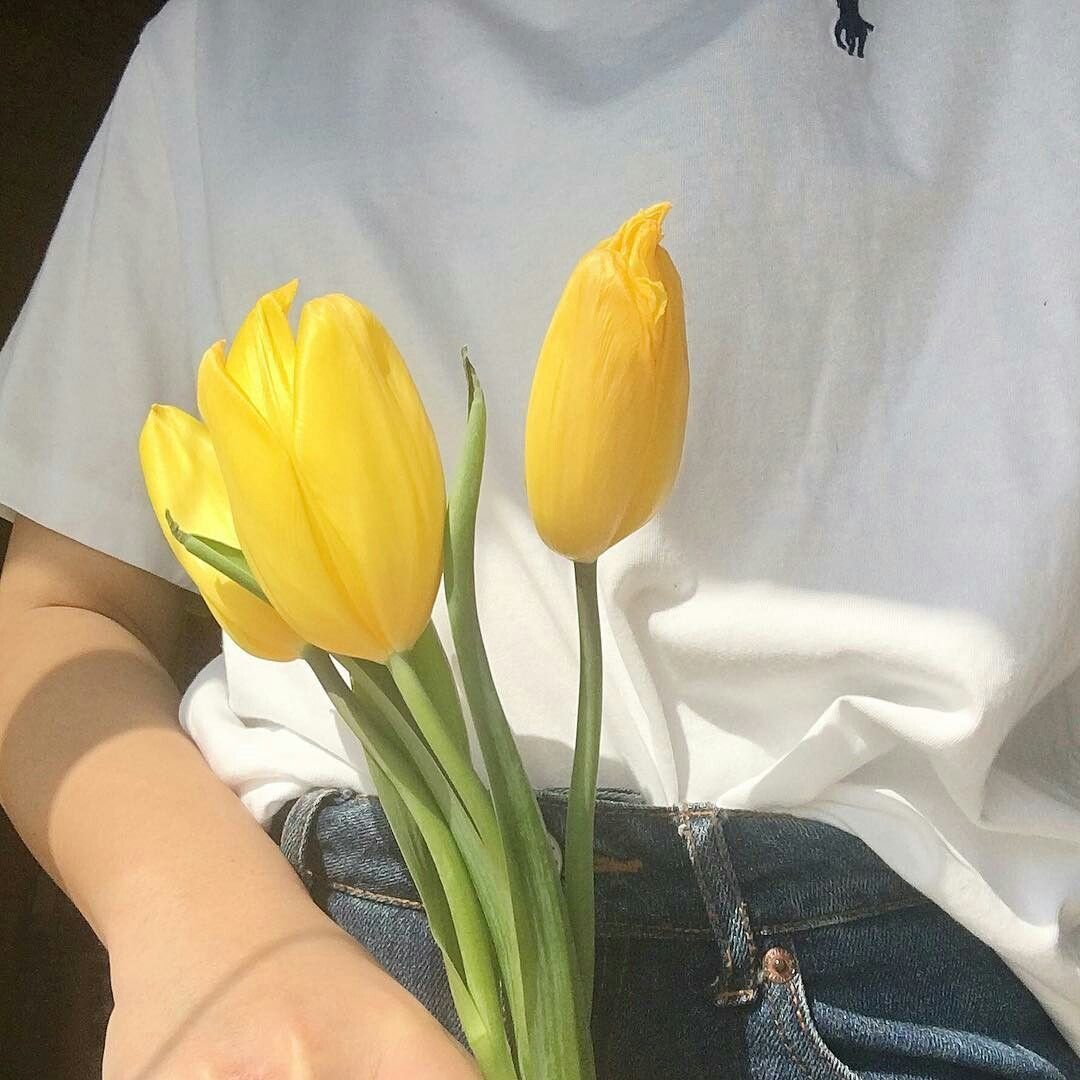 Желто белые цветы