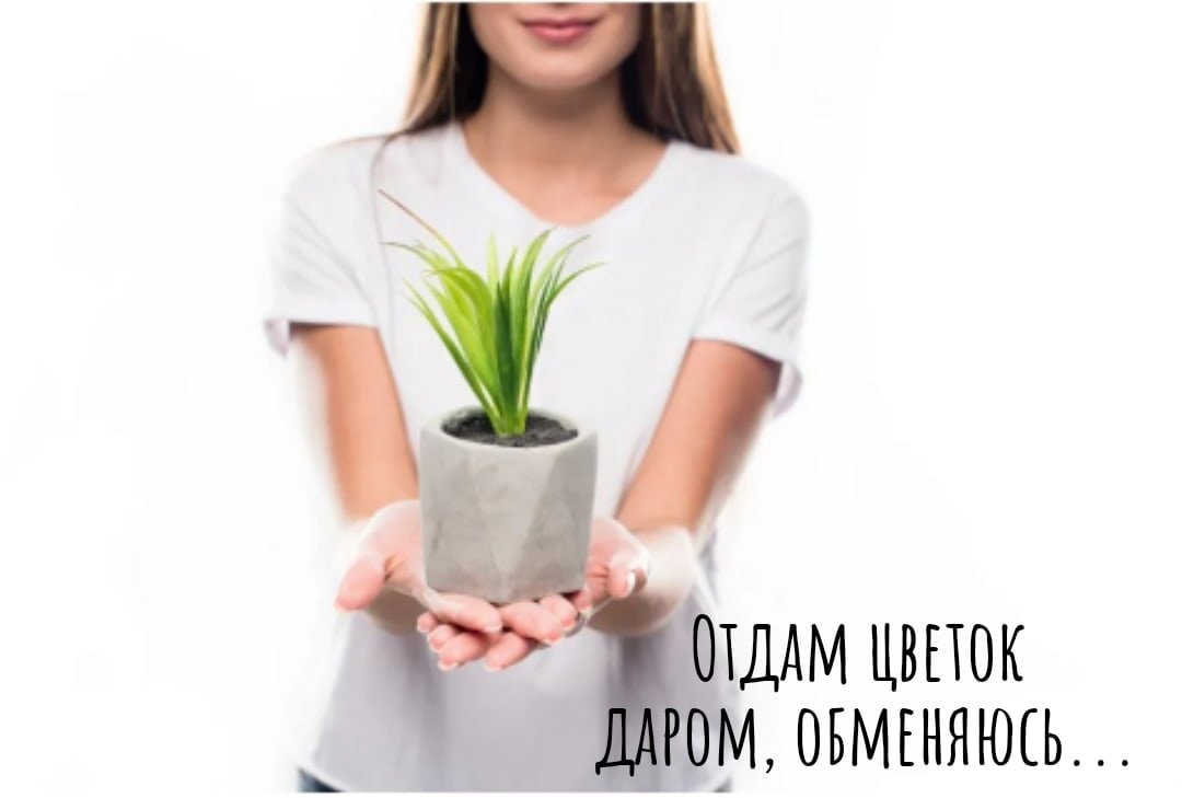 Девушка с горшком цветов