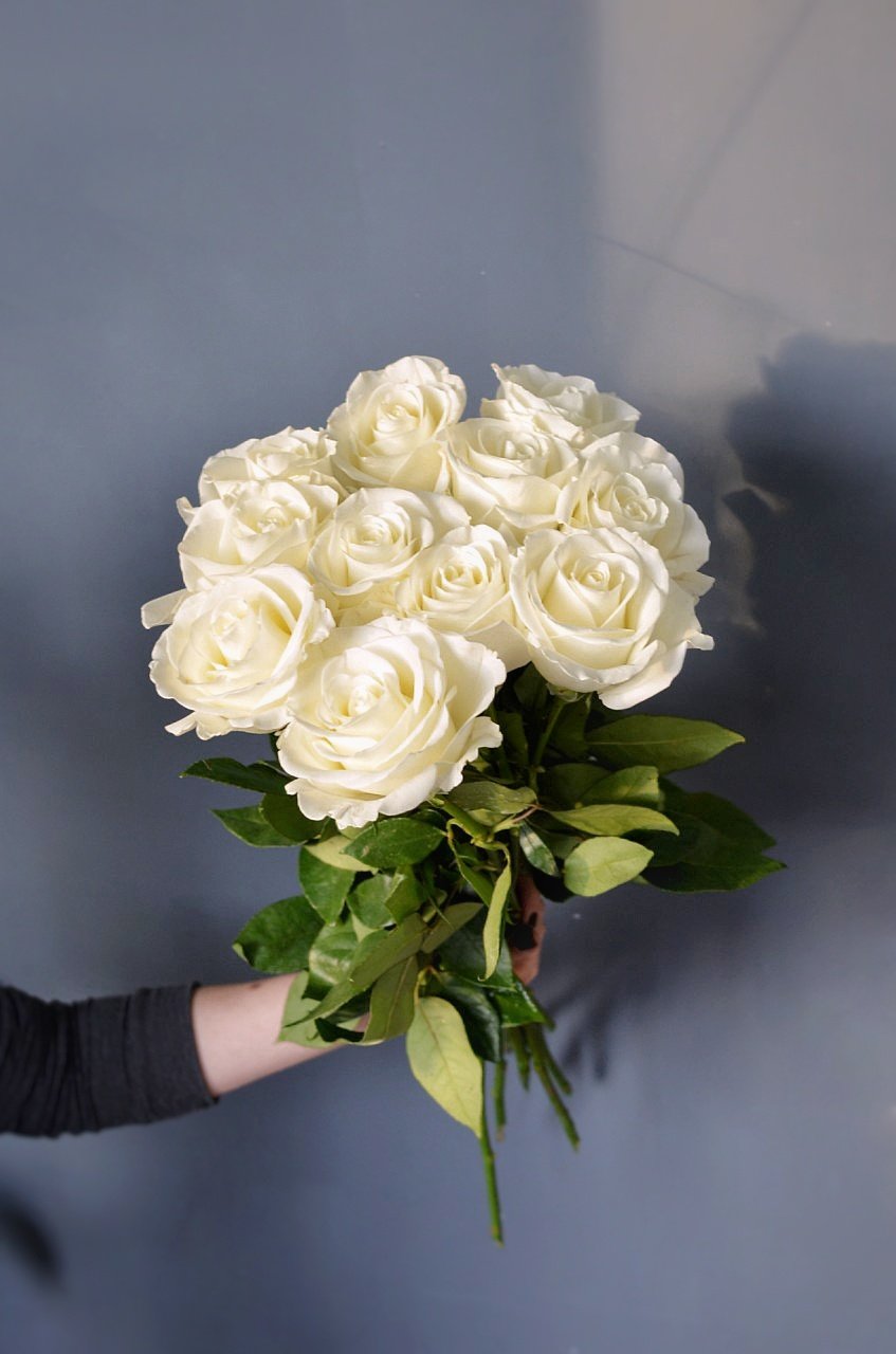 Белые розы Голландия 60 см