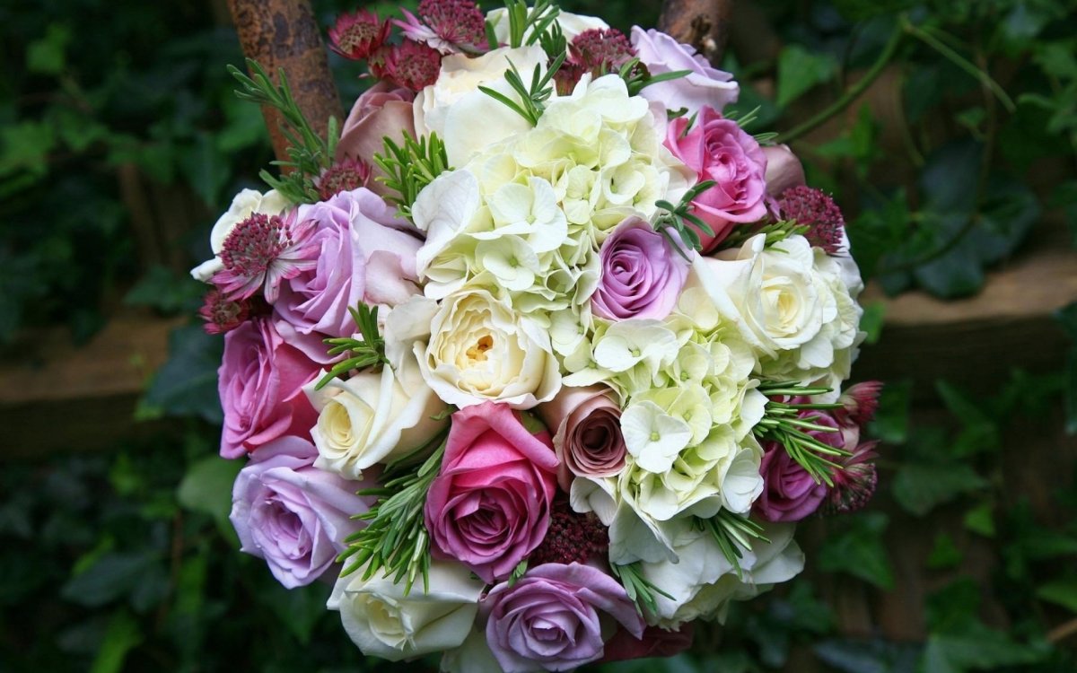 Гортензия букет роз Bouquet Rose