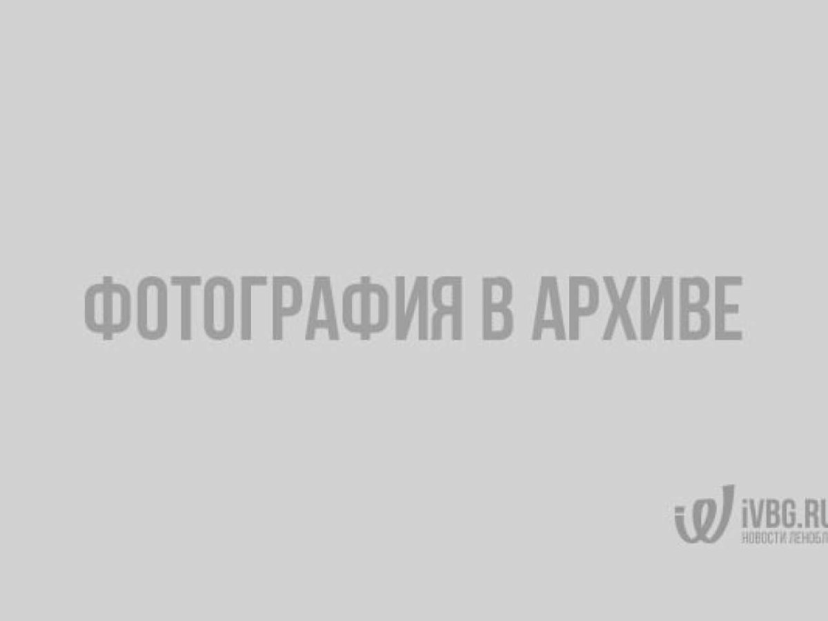Дурманящий багульник