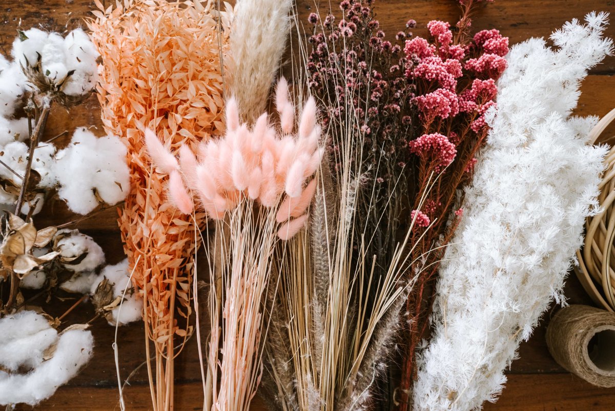 Dried Flowers сухоцветы