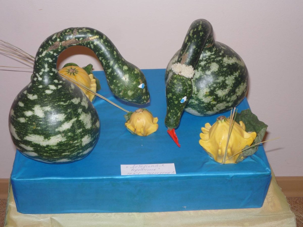 Поделка из кабачка в школу