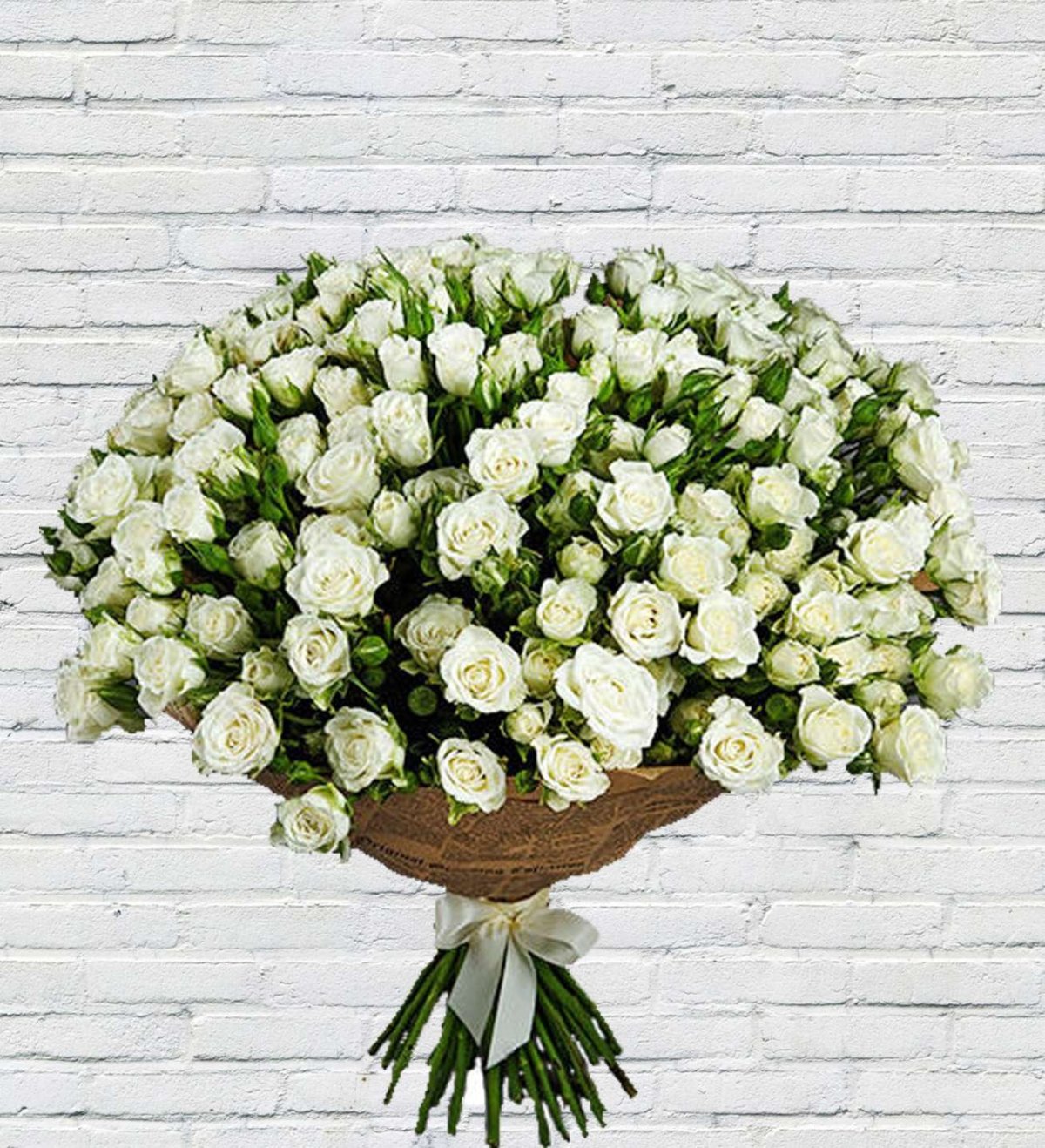 Роза кустовая белая (60 см.)