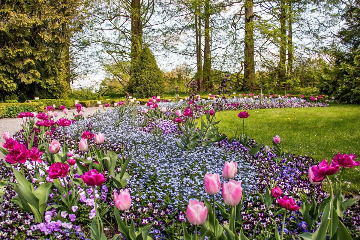Весенний сад (Spring Topiary Garden)