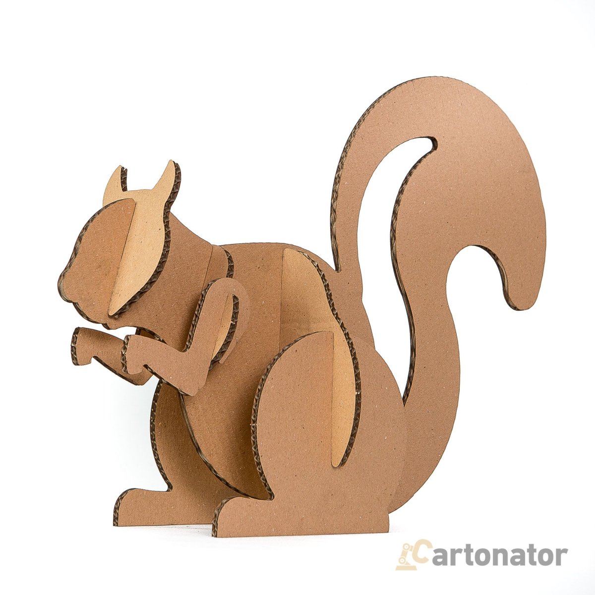 Белка из картона