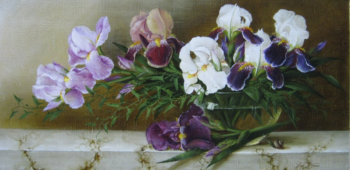 Елена Добель ирисы