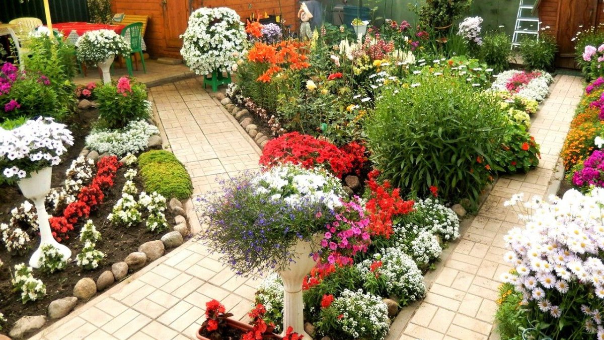 Клумбы на 6 сотках