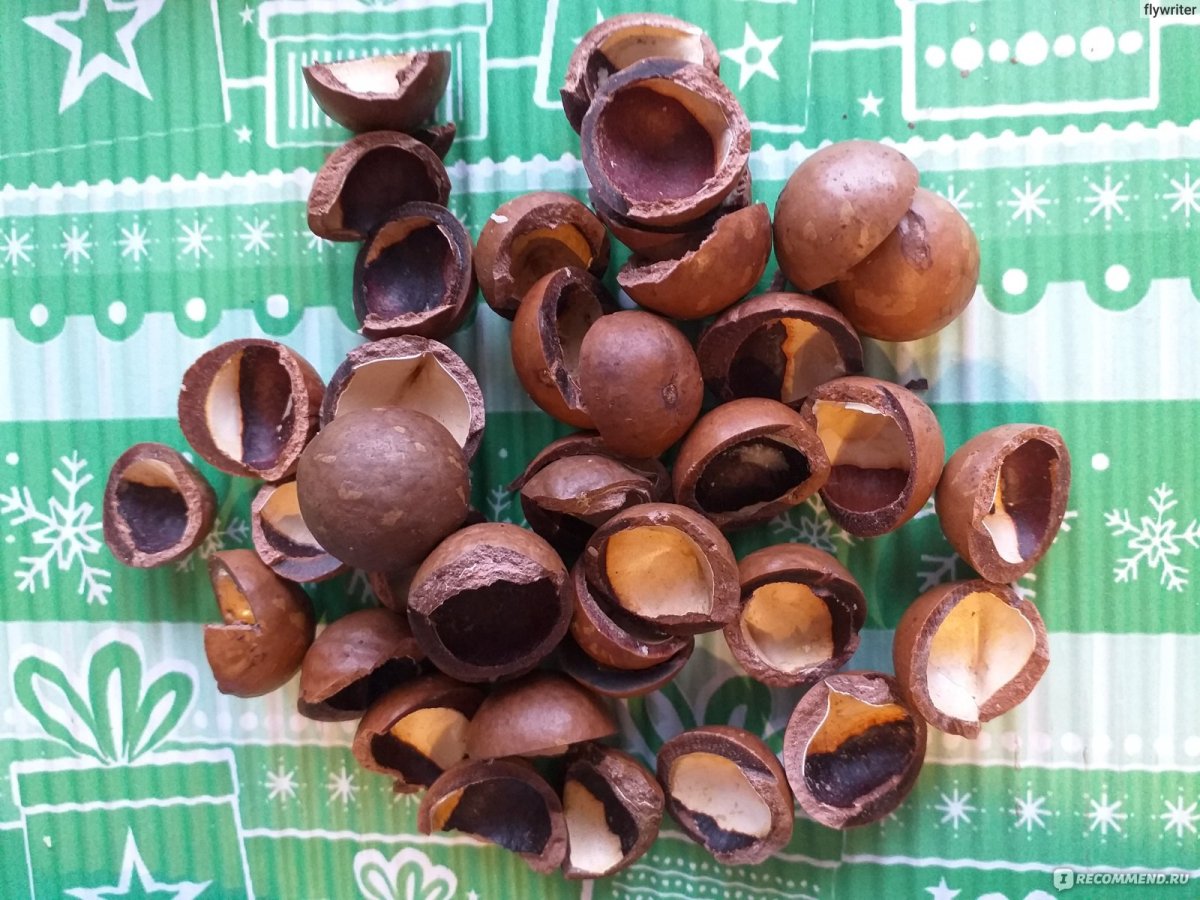 Поделки из скорлупы ореха макадамия