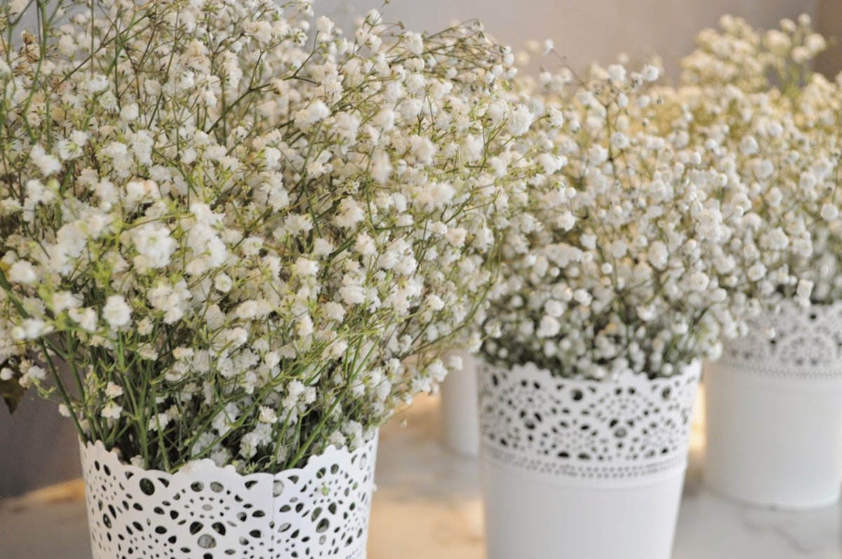 Floral Arrangements with Baby's Breath