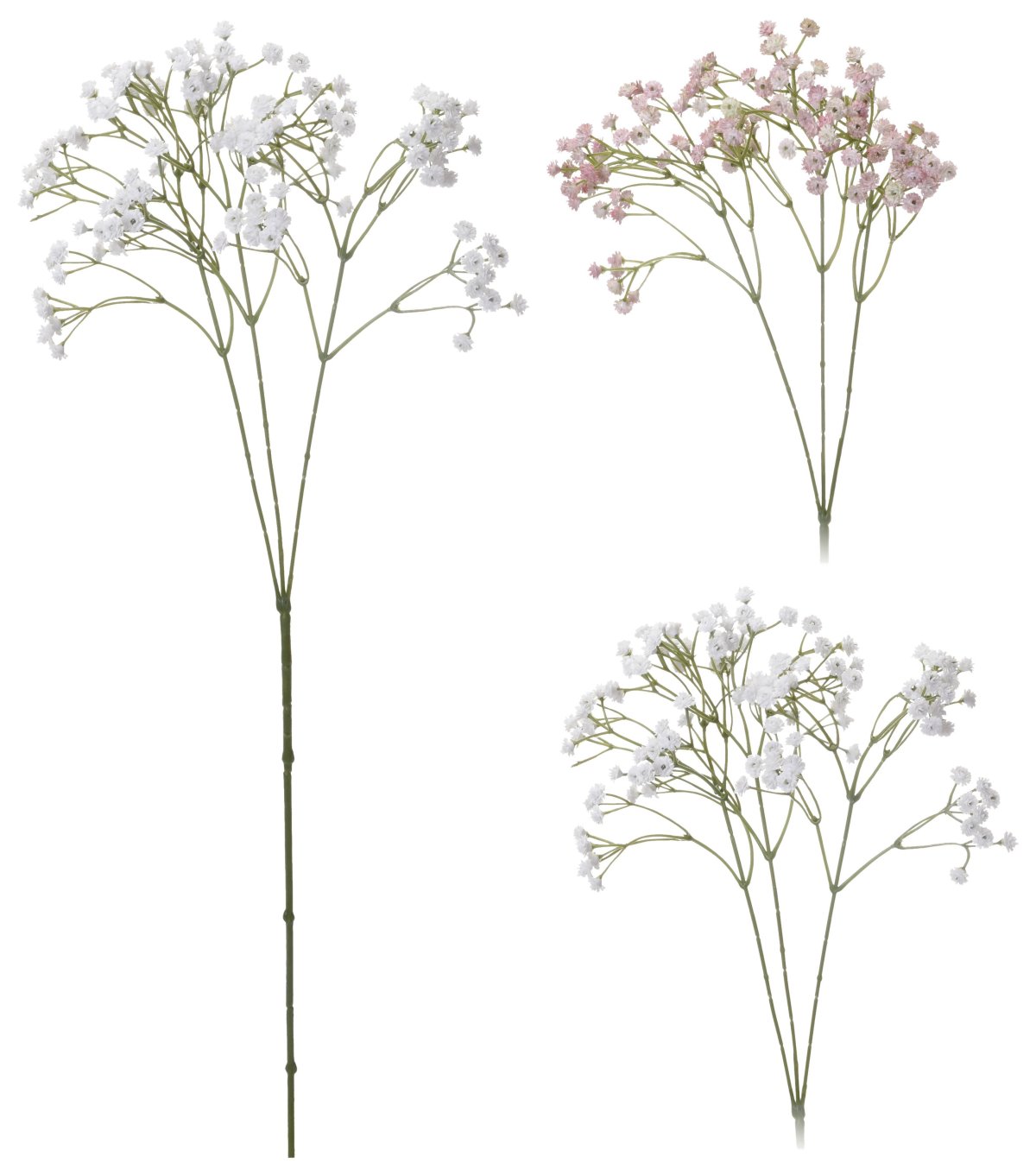 Harsokukka