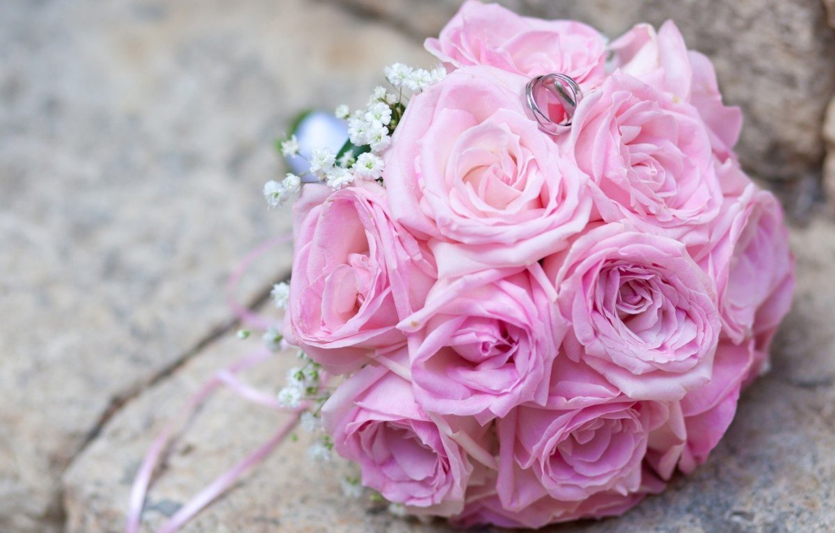 Роза Pink Wedding