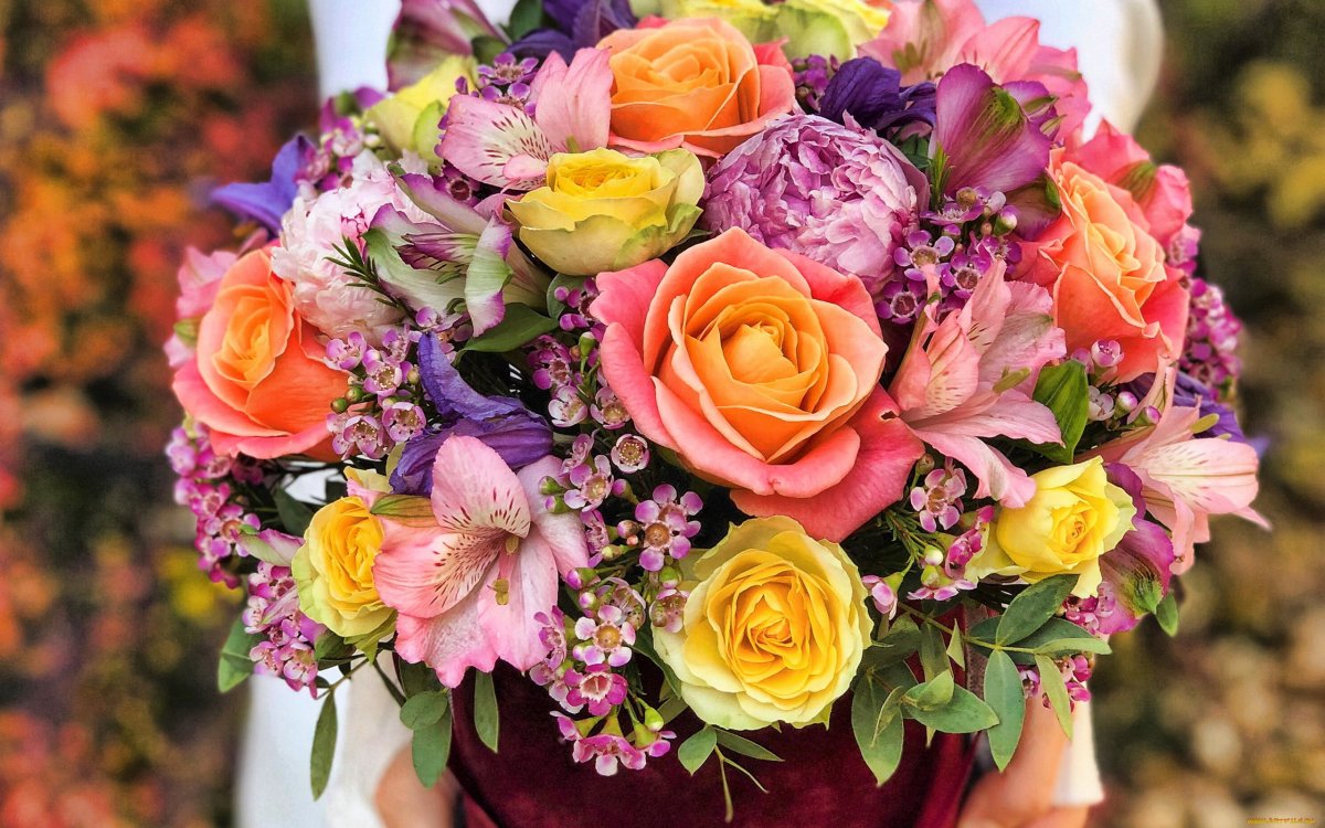 Beautiful Bouquet of Bright Flowers