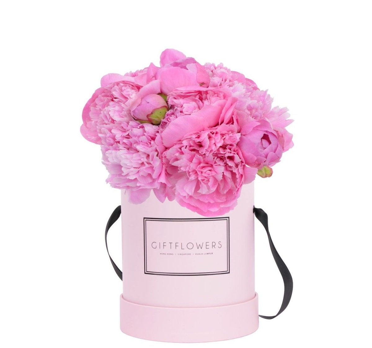 Пиони Пинк Peony Pink роза