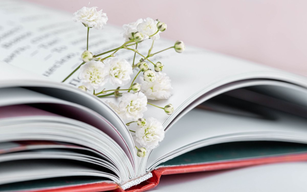 Раскрытая книга с веточкой
