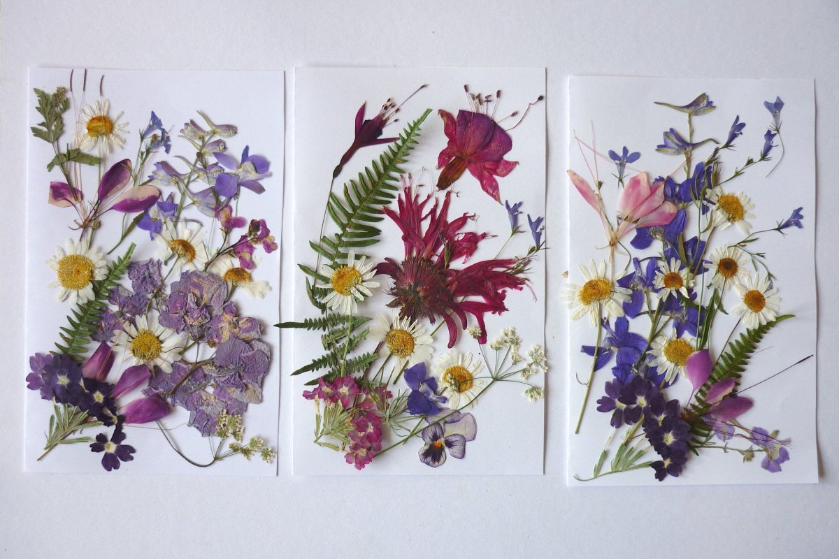 Ways to Press and Dry Flowers perfectly
