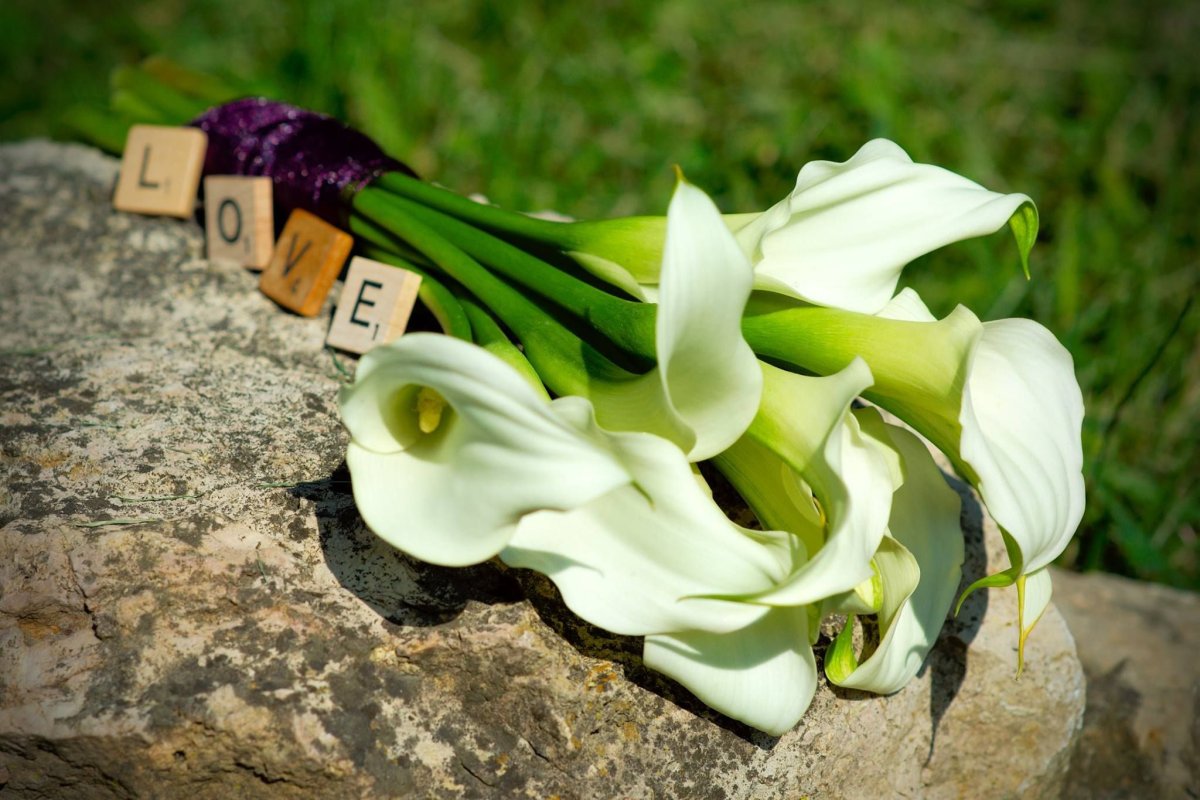 Calla Lilies букет