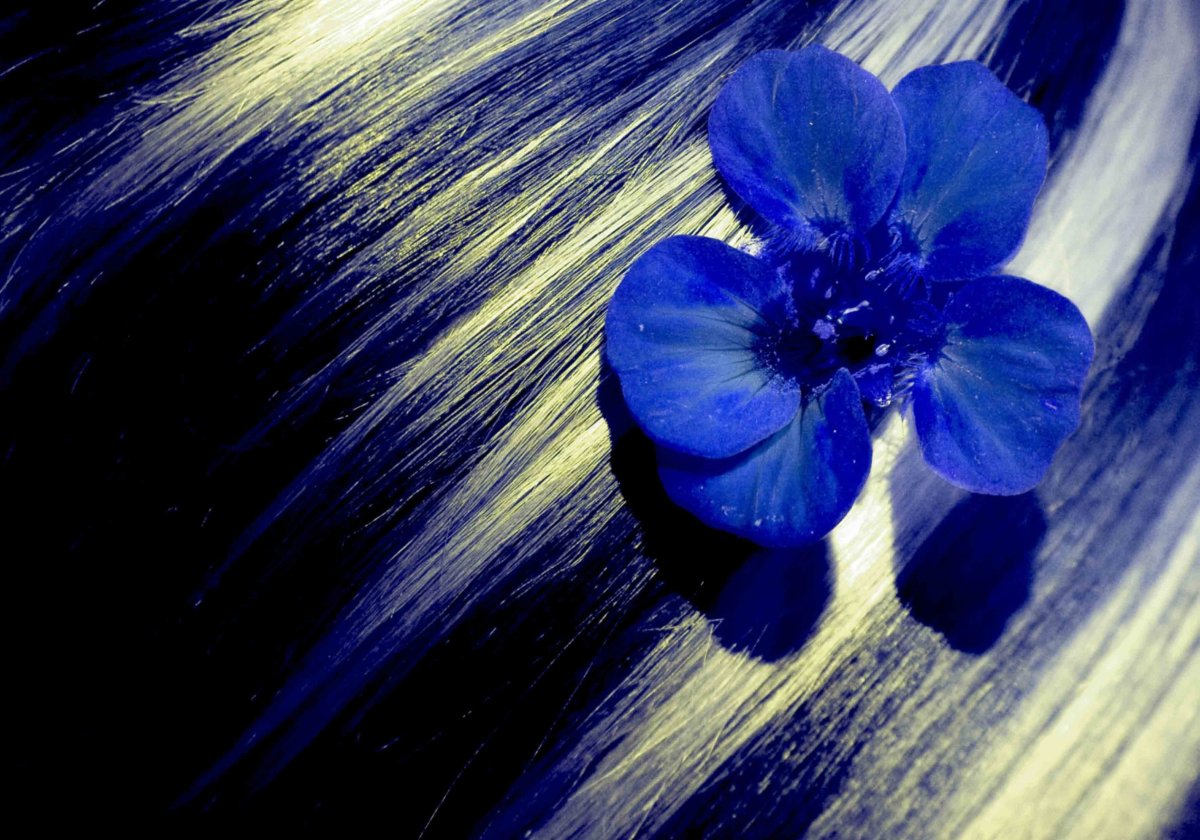 Черно бело синий