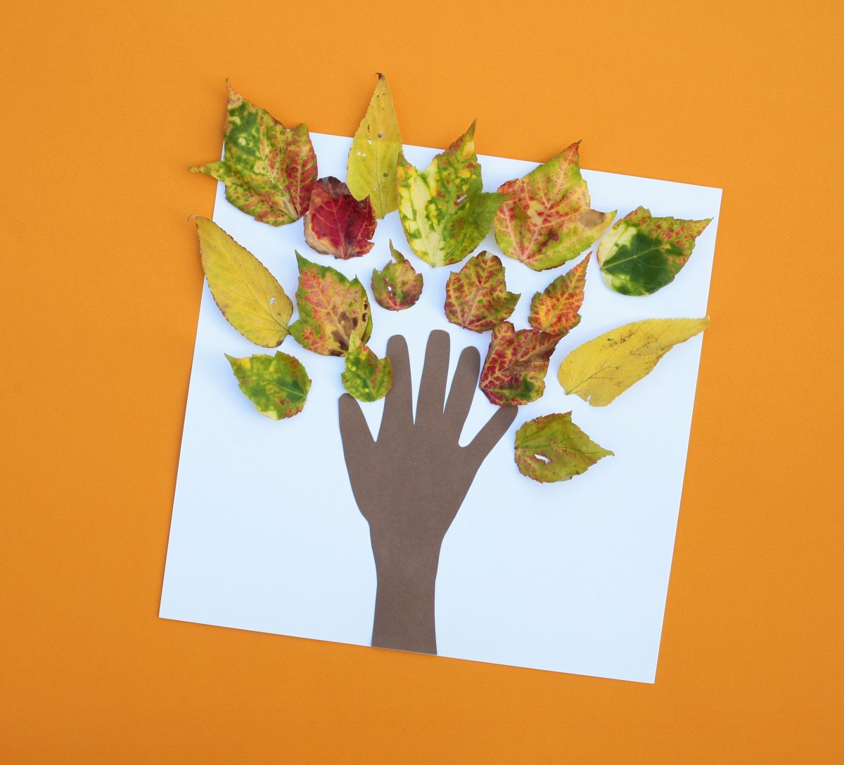 Autumn Tree Craft for Kids