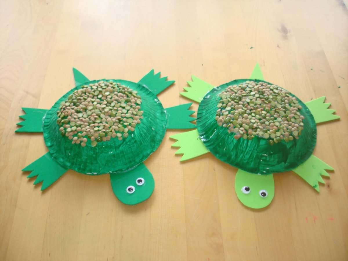 Turtle Craft for Kids