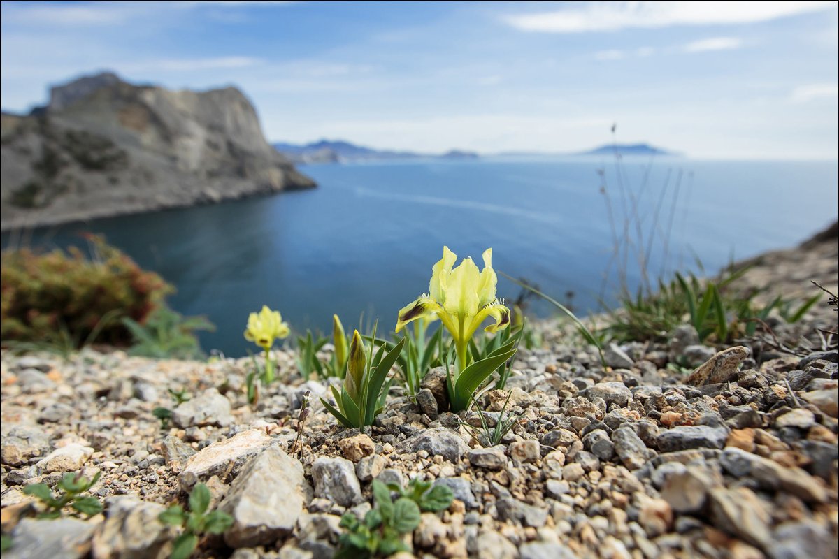 Весна в Крыму
