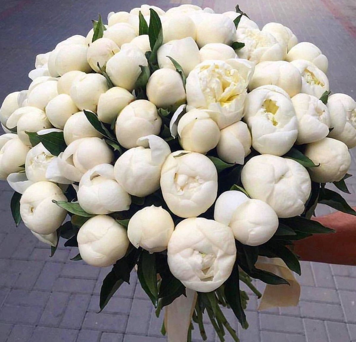 Букет белых пионов