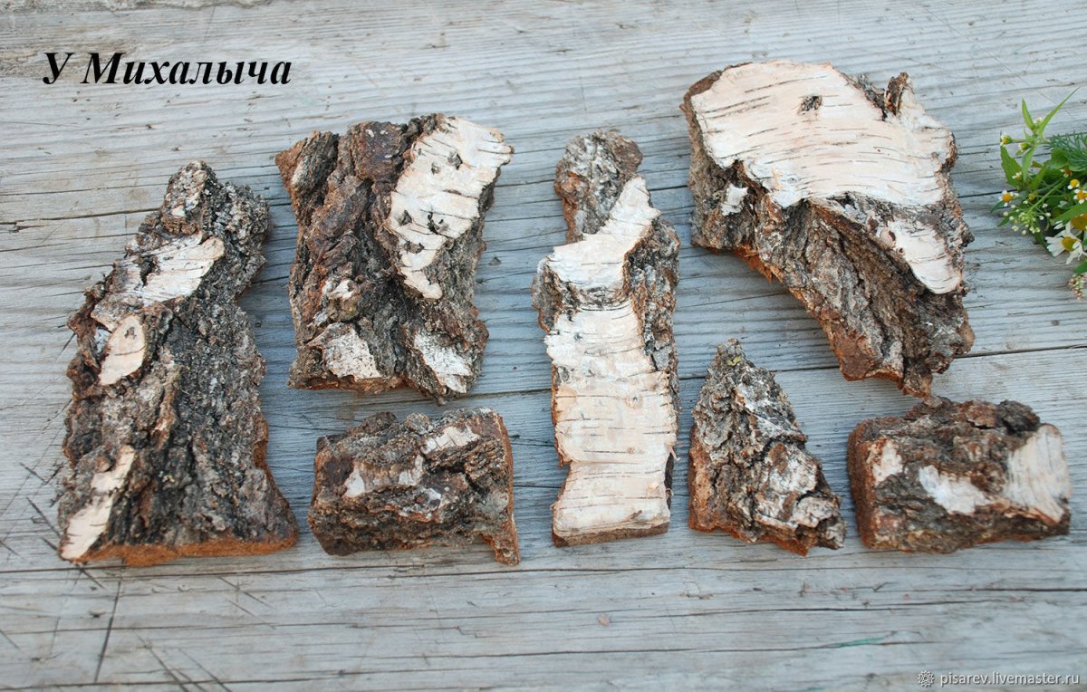 Кора дерева для декора