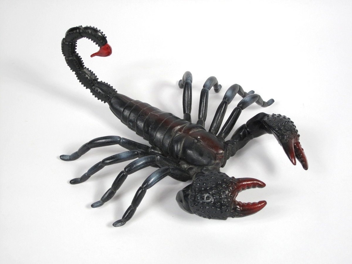 Giant Scorpion Toy