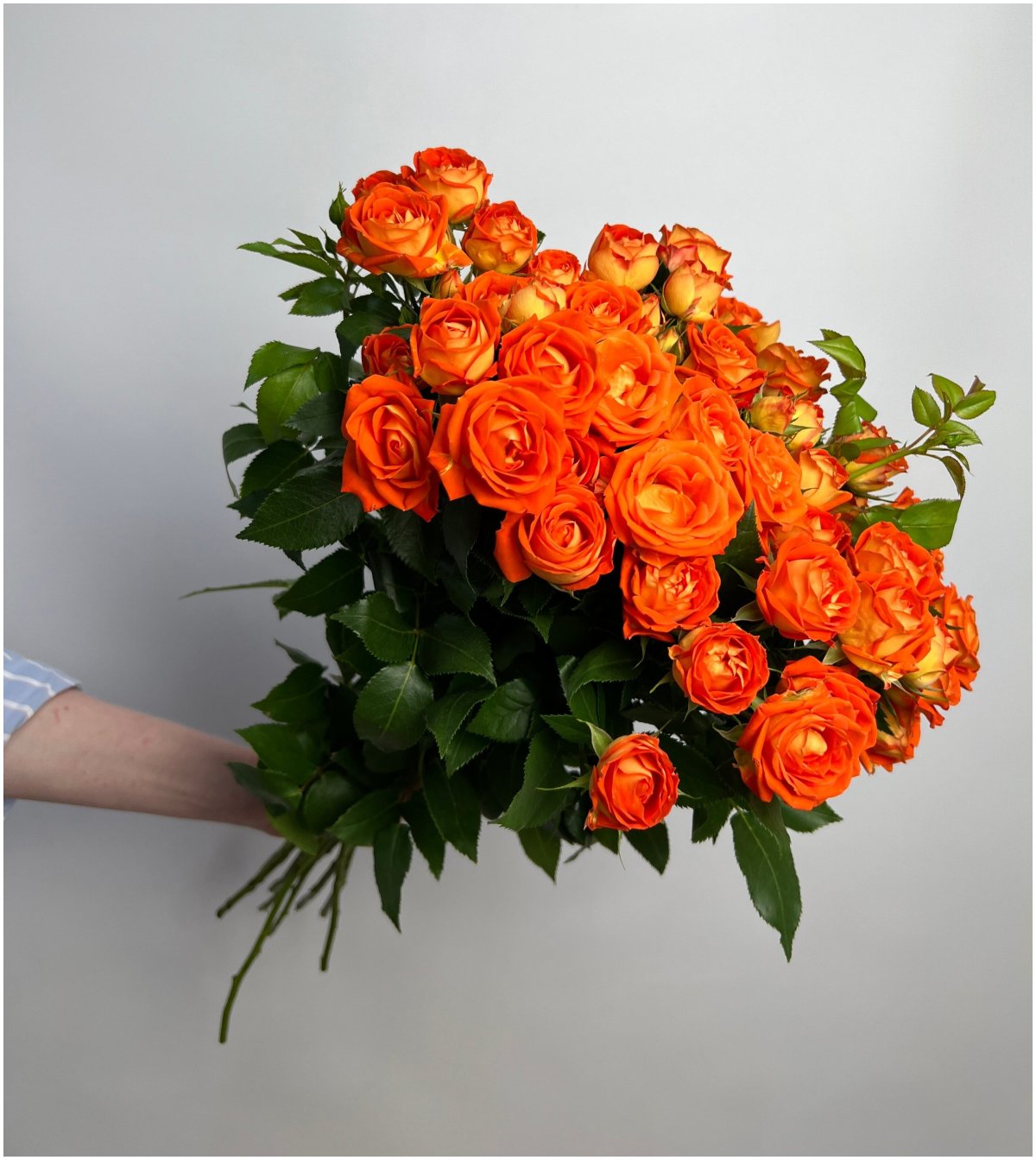 Оранжевые кустовые розы букет