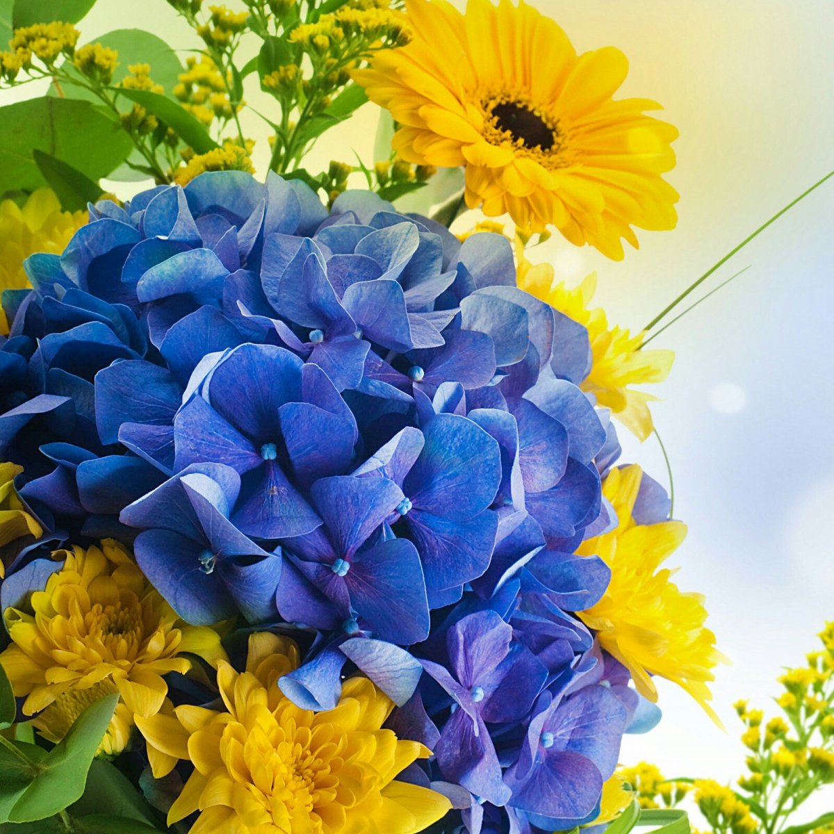 FLOWERPATIO 178