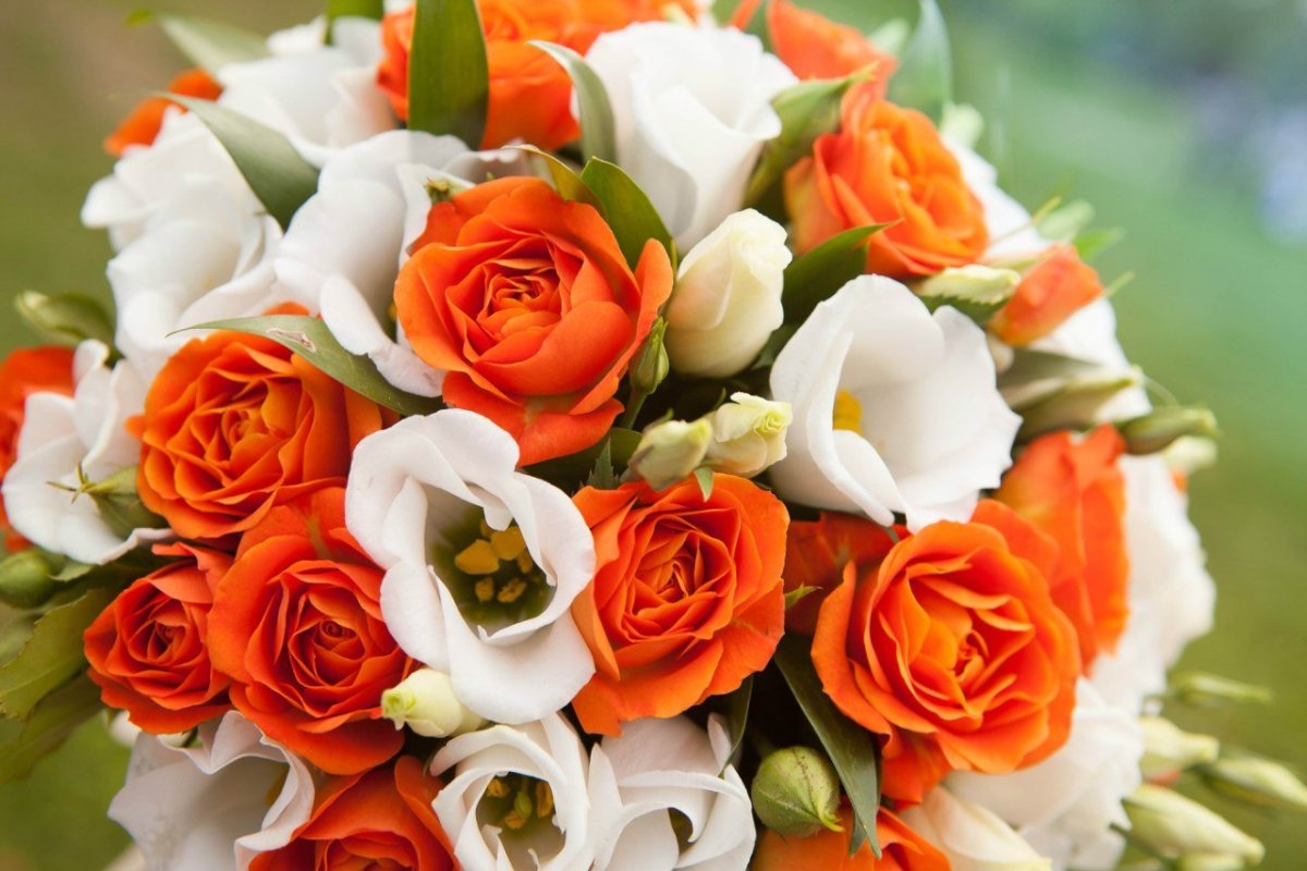 Букет оранжевых и белых роз