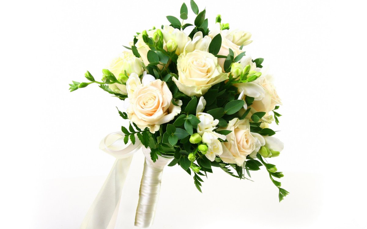 Freesia фрезия роза