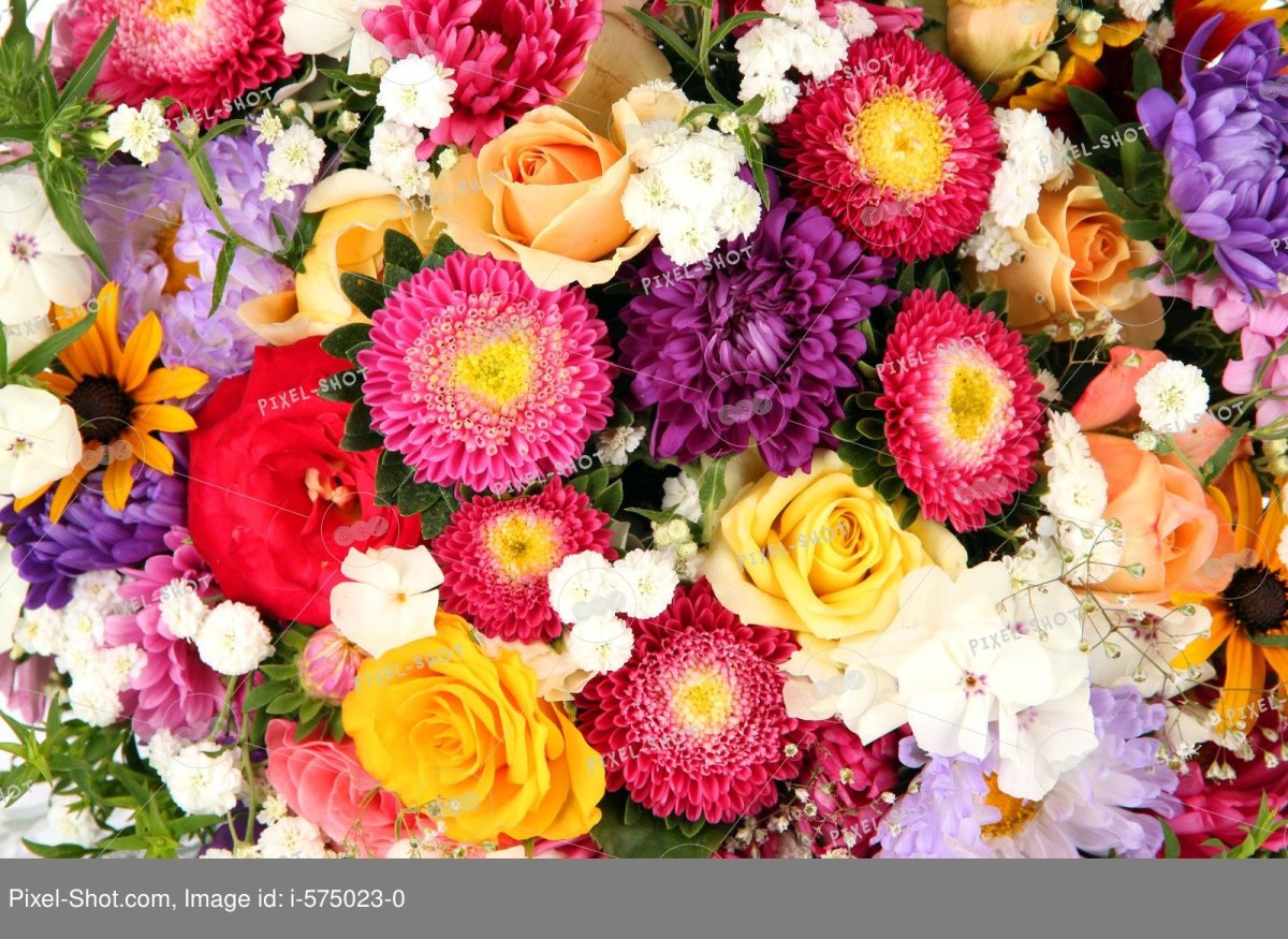 Summer Flowers stock Mix
