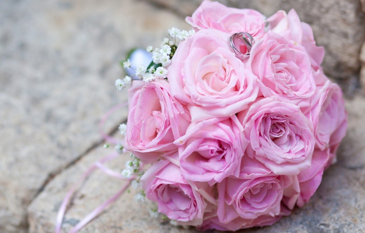 Роза Pink Wedding