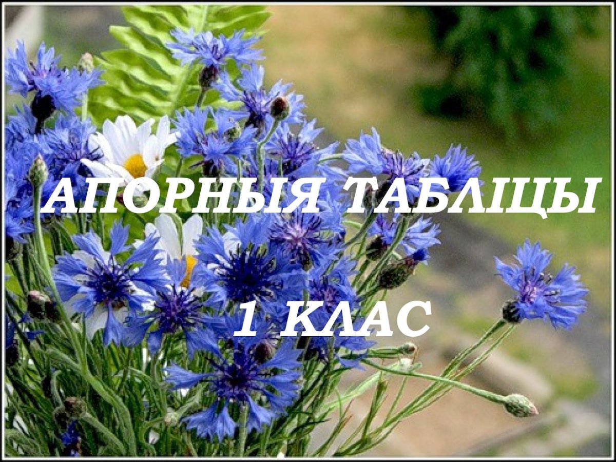 Народный праздник Василиск