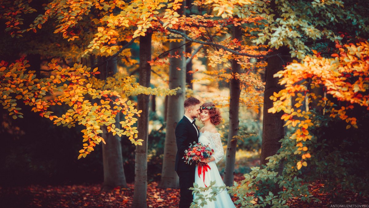Свадебная фотосессия в лесу осенью