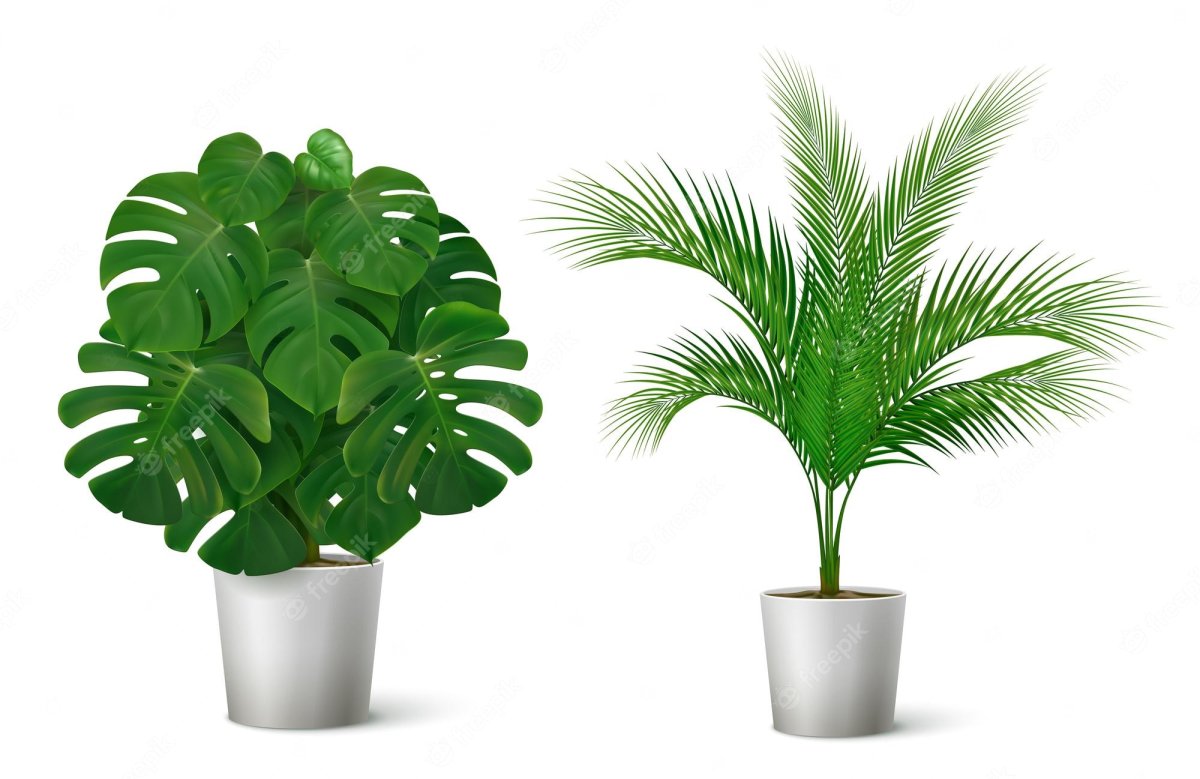 Realistic Plants vector