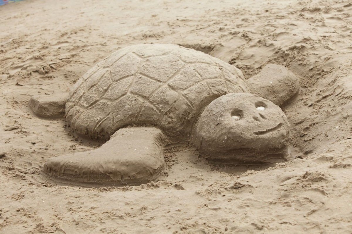 Морские фигуры из песка