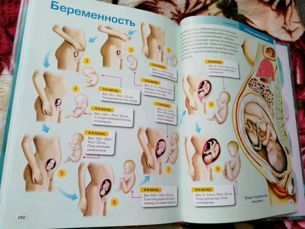 Веночки из природного материала