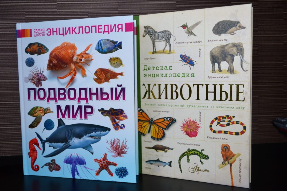 Animals Craft for Kids