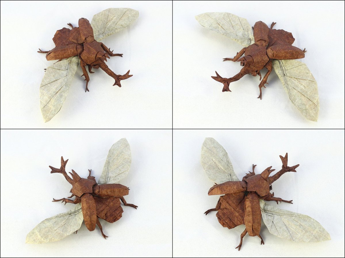 Origami Flying Kabutomushi (Shuki Kato) diagrams