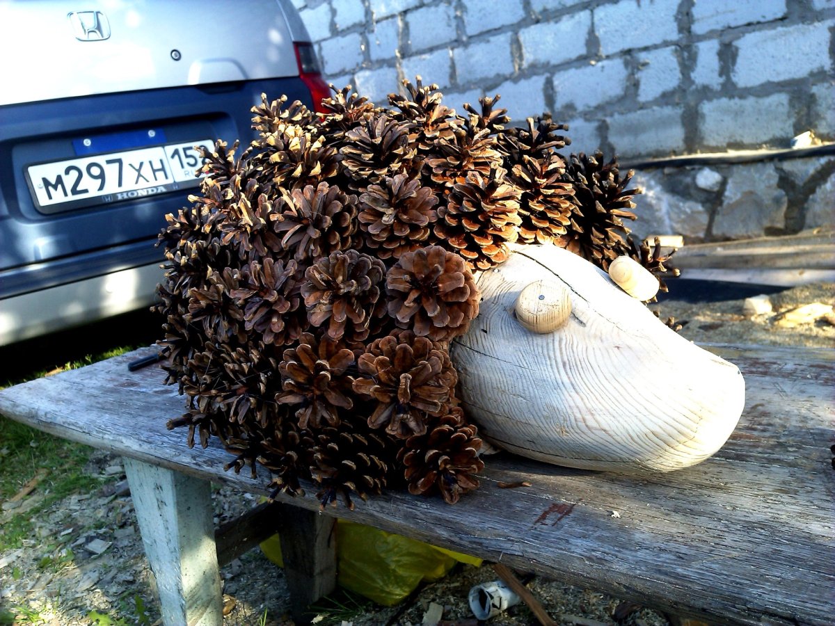 Ежик из шишек фото