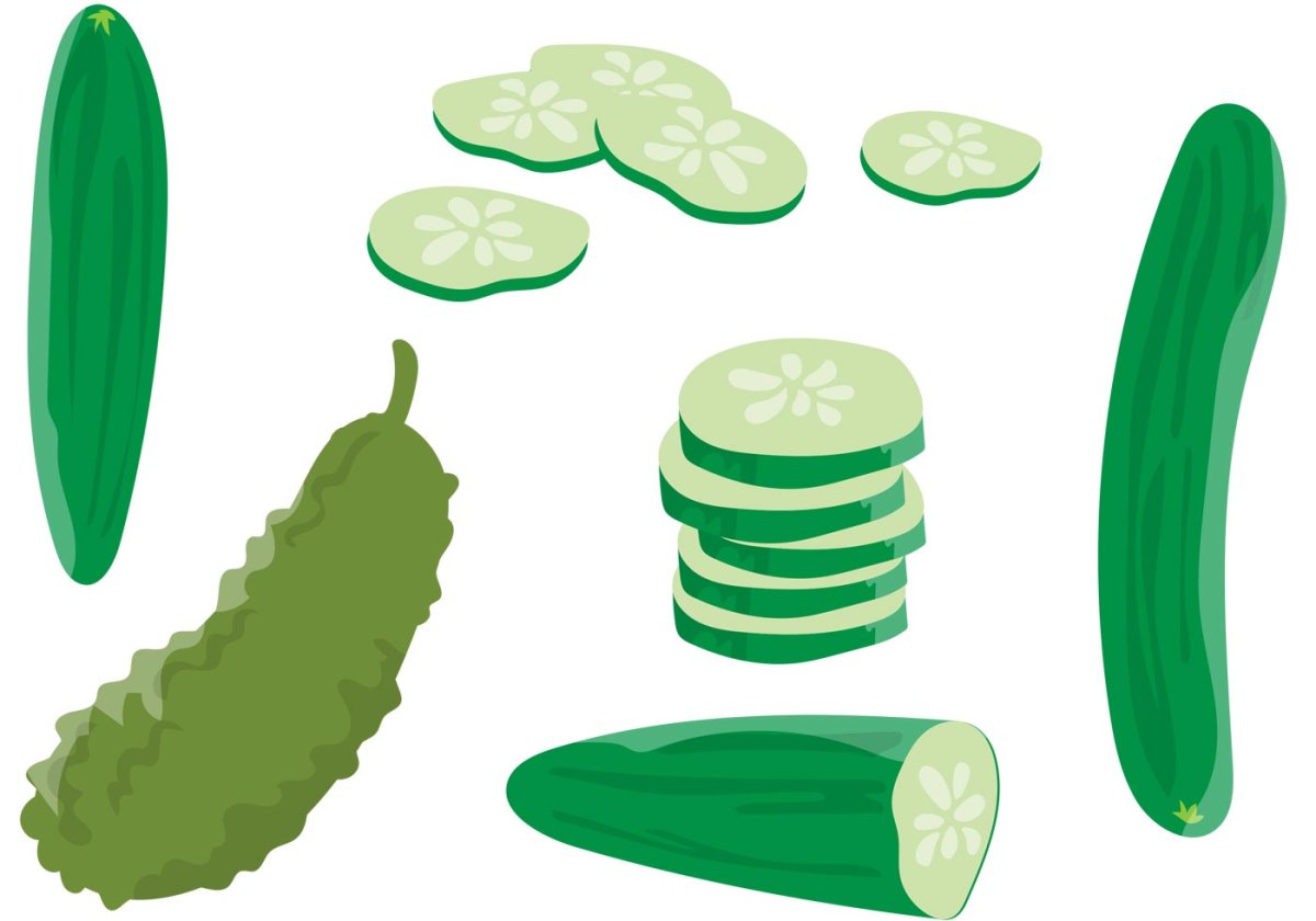 Cucumber вектор